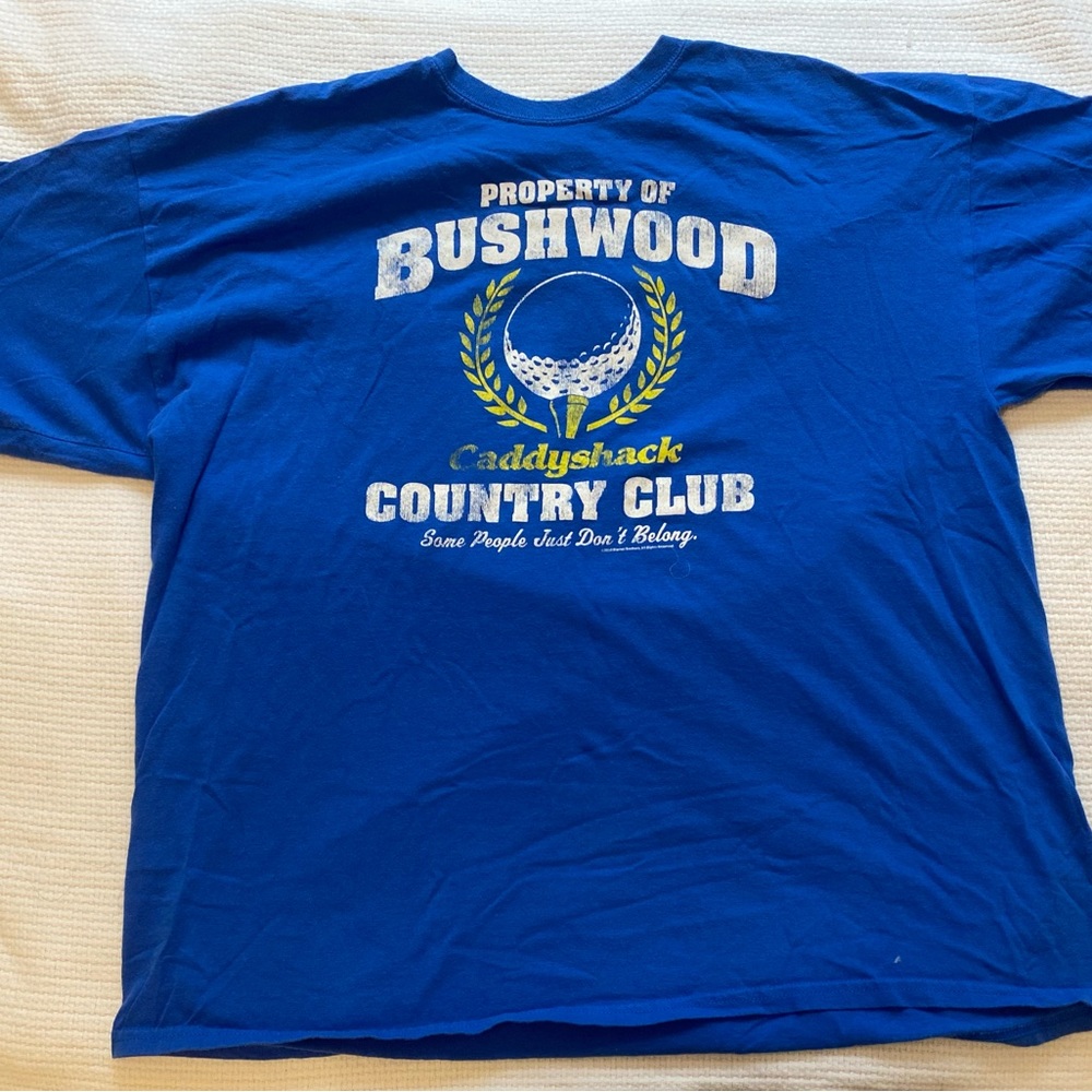 Gildan blue t-shirt.